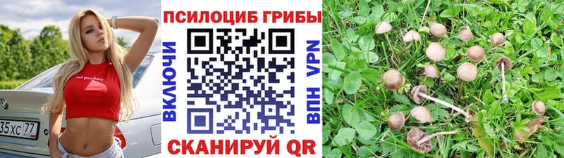 Галлюциногенные грибы GOLDEN TEACHER  Бакал 